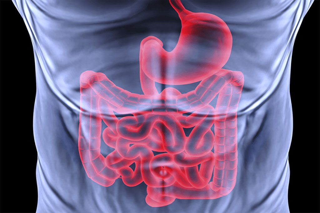 Gastroenterology