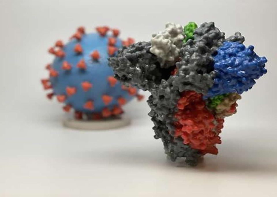 coronavirus | sama medtour